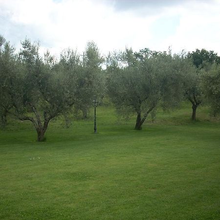 Forum Cassii Vetralla Esterno foto