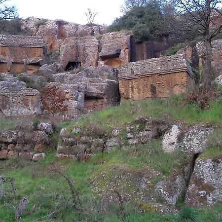 Forum Cassii Vetralla Esterno foto