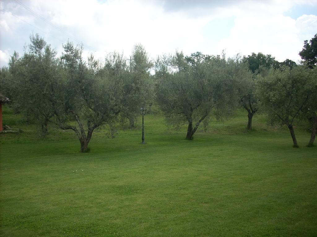 Forum Cassii Vetralla Esterno foto