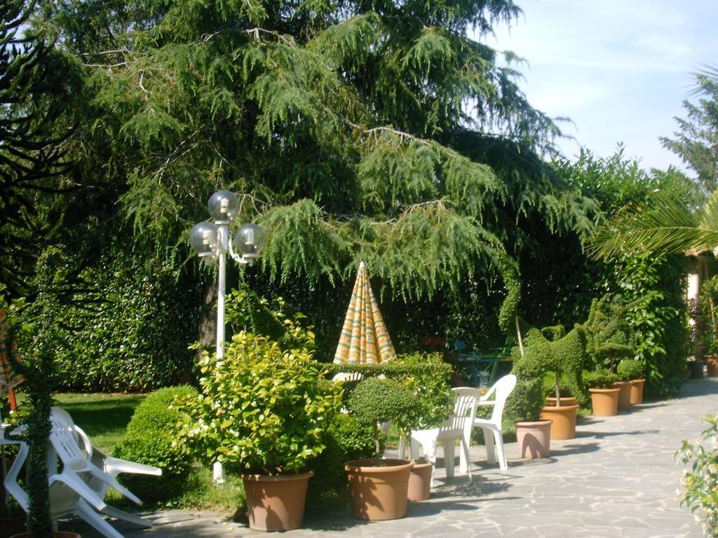 Forum Cassii Vetralla Esterno foto