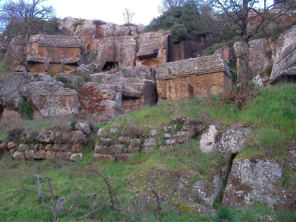 Forum Cassii Vetralla Esterno foto